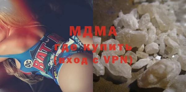 молекула духа Вяземский