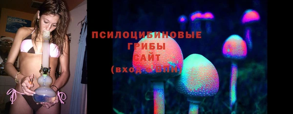 альфа пвп Гусь-Хрустальный