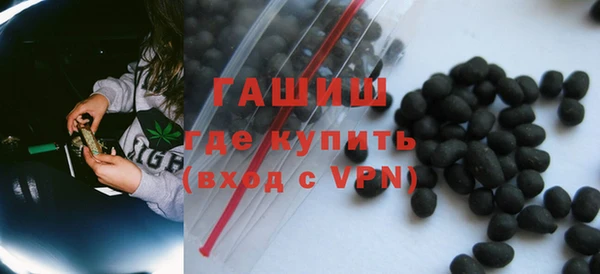молекула духа Вяземский