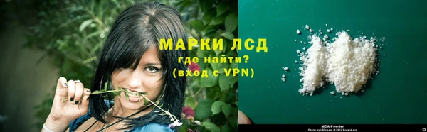 молекула духа Вяземский