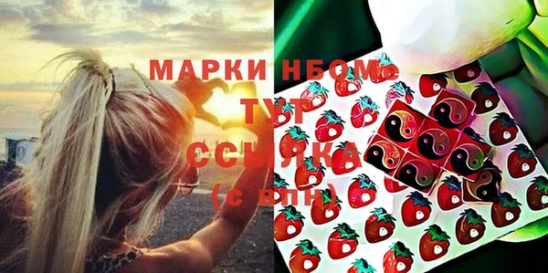 молекула духа Вяземский