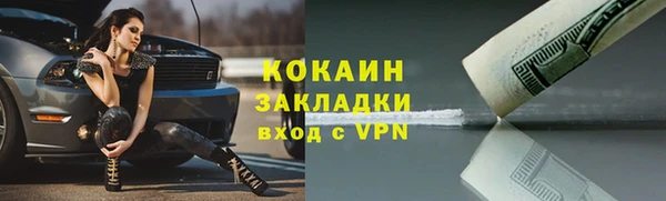 молекула духа Вяземский