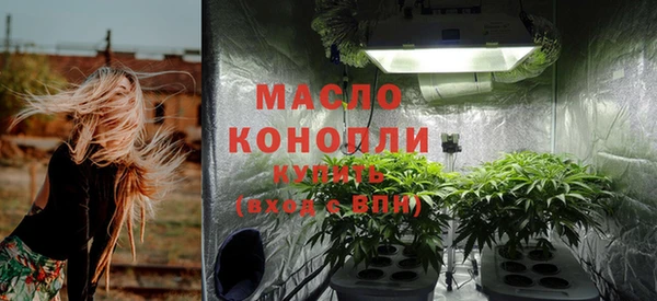 гидропоника Горнозаводск