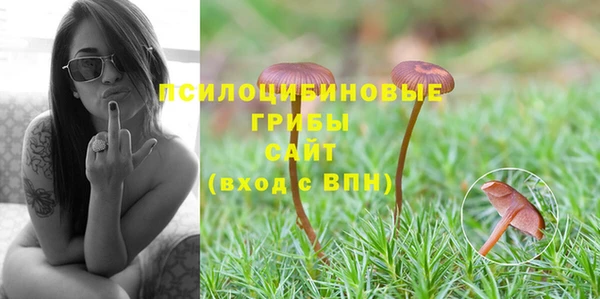 гидропоника Горнозаводск