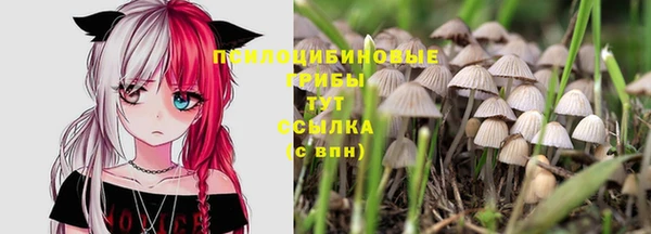 молекула духа Вяземский