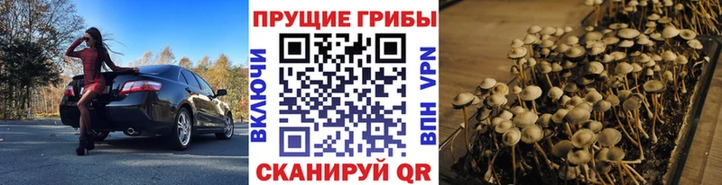 blacksprut маркетплейс  Гусь-Хрустальный  Псилоцибиновые грибы GOLDEN TEACHER  купить наркоту 